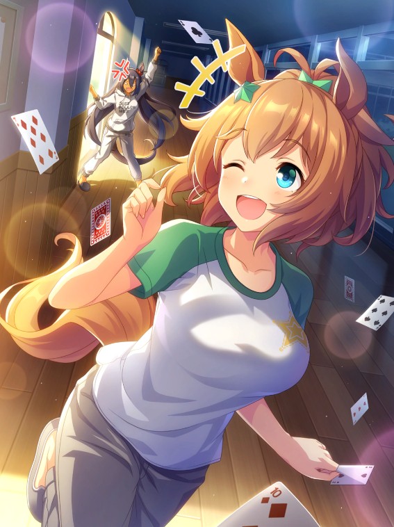 サポートカード02